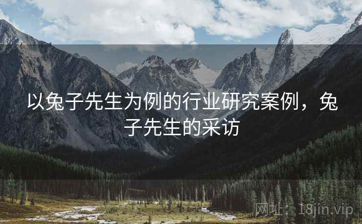 以兔子先生为例的行业研究案例，兔子先生的采访