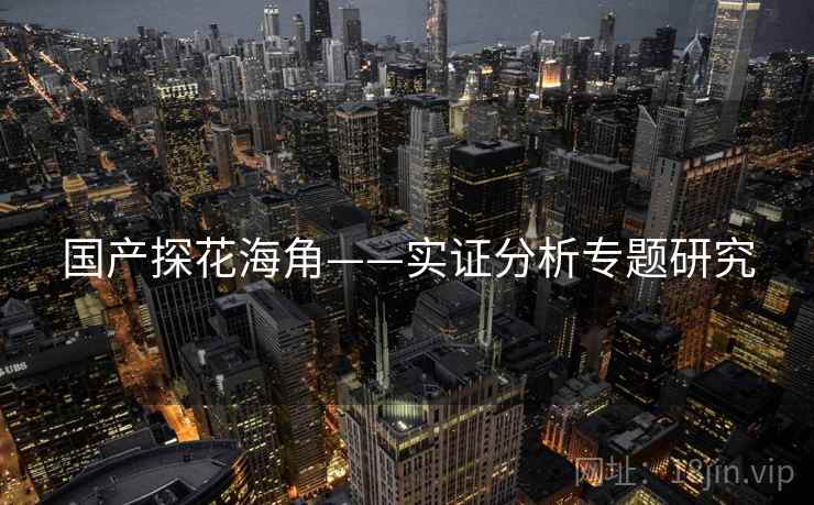 国产探花海角——实证分析专题研究