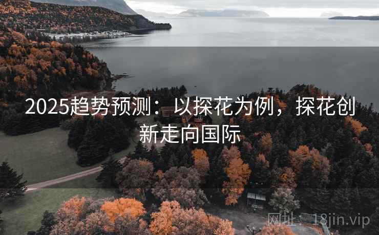 2025趋势预测：以探花为例，探花创新走向国际
