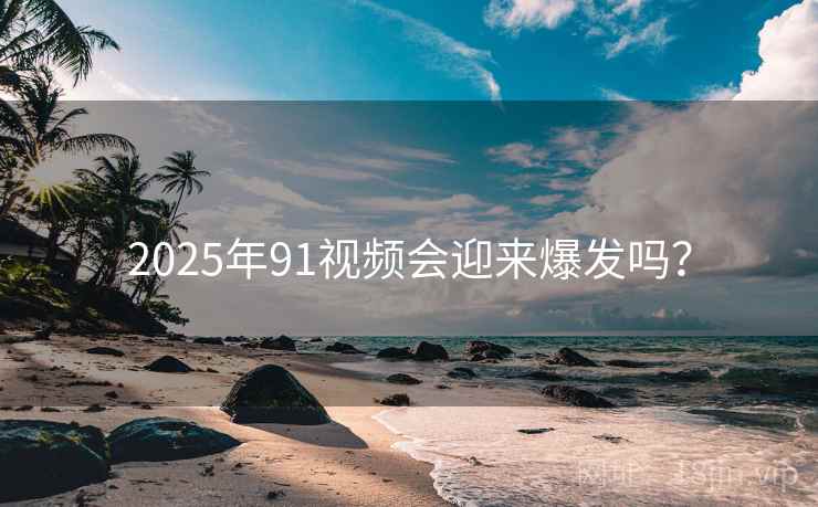 2025年91视频会迎来爆发吗？
