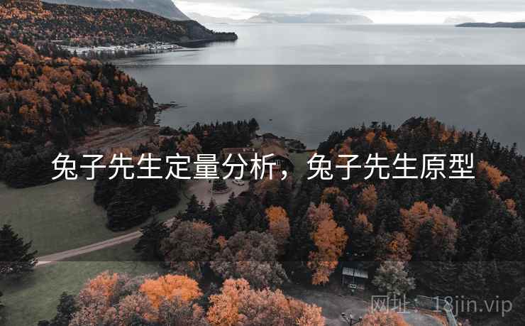兔子先生定量分析，兔子先生原型