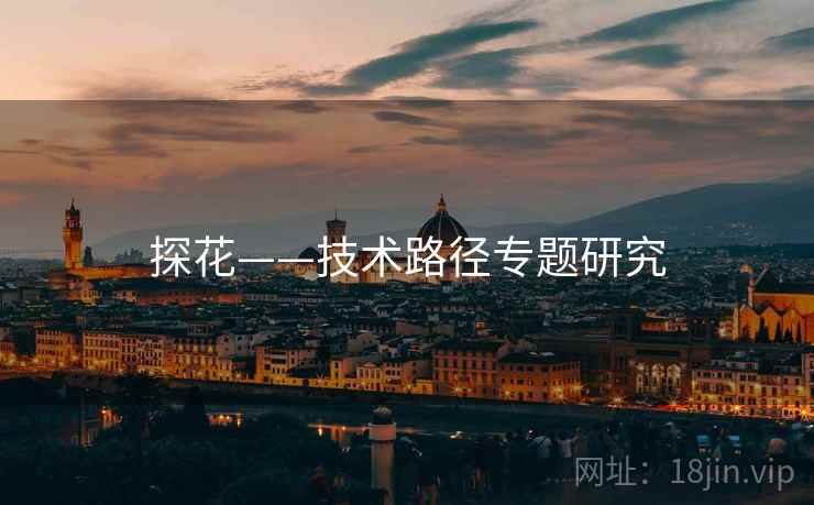 探花——技术路径专题研究