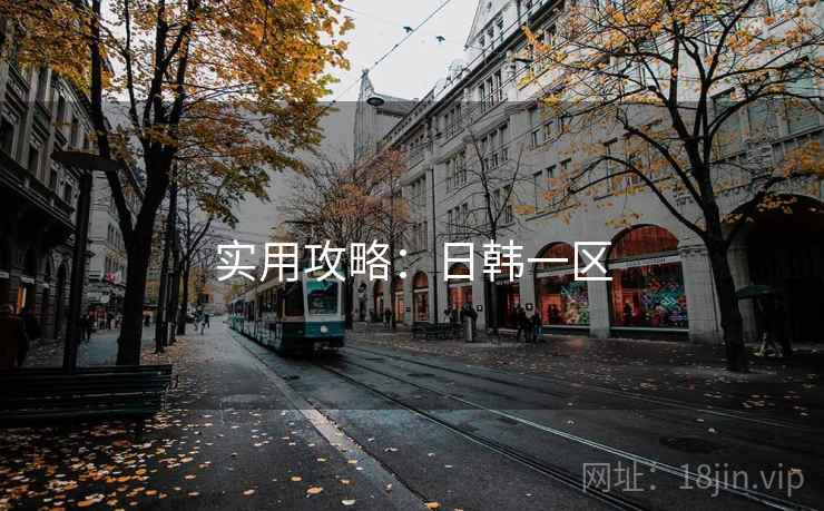 实用攻略：日韩一区