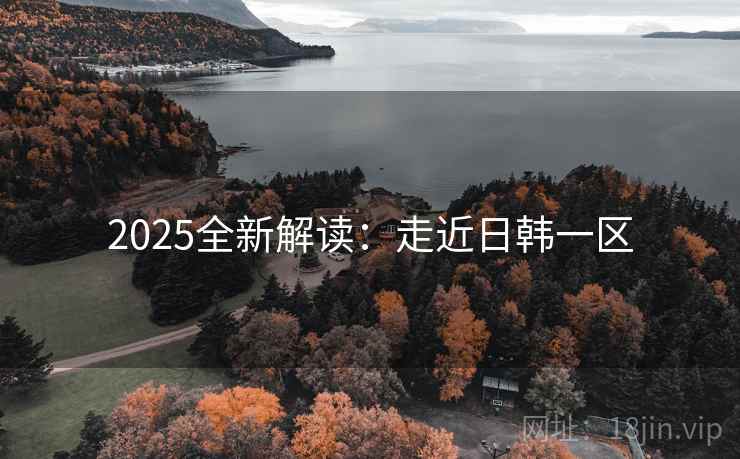 2025全新解读：走近日韩一区