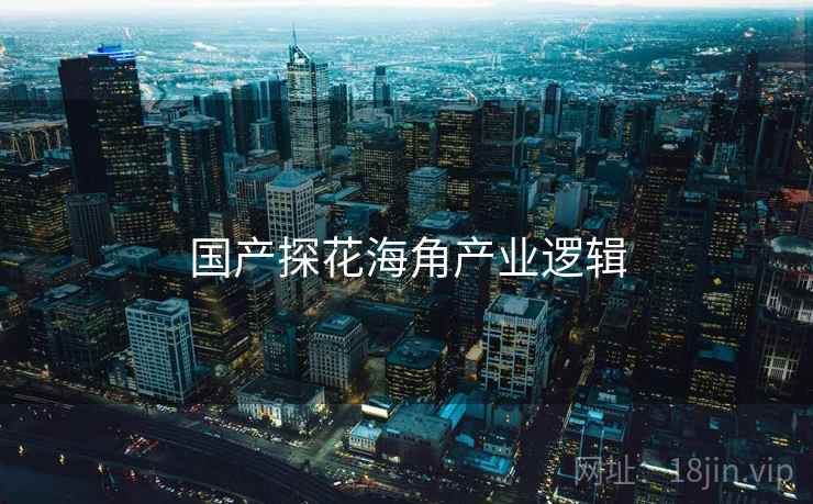 国产探花海角产业逻辑