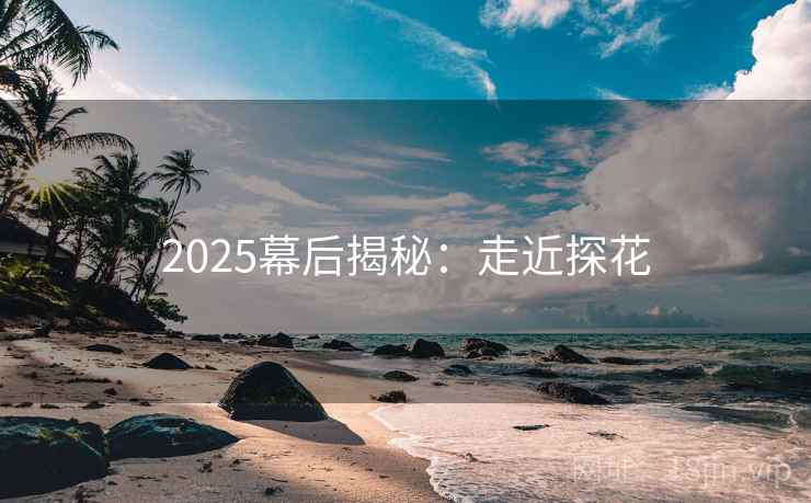 2025幕后揭秘：走近探花