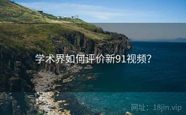学术界如何评价新91视频？