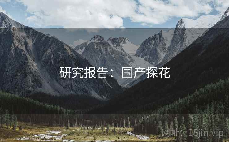 研究报告：国产探花