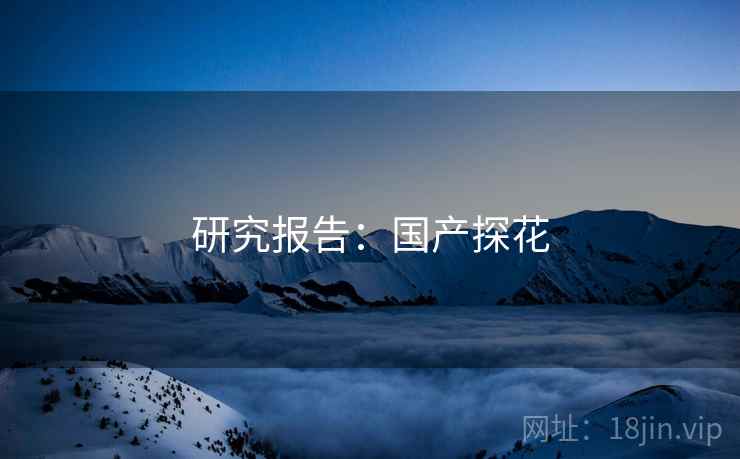 研究报告：国产探花