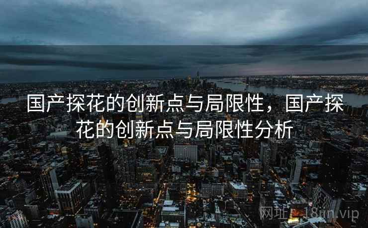 国产探花的创新点与局限性，国产探花的创新点与局限性分析