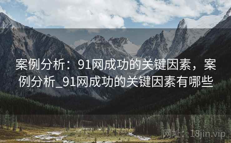 案例分析：91网成功的关键因素，案例分析_91网成功的关键因素有哪些