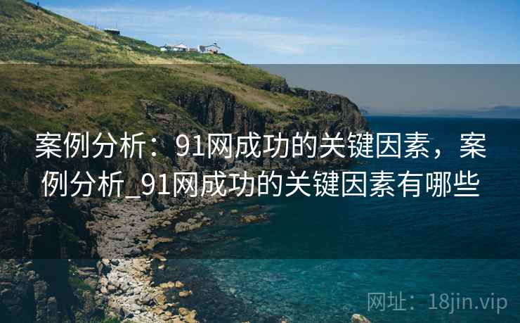 案例分析：91网成功的关键因素，案例分析_91网成功的关键因素有哪些