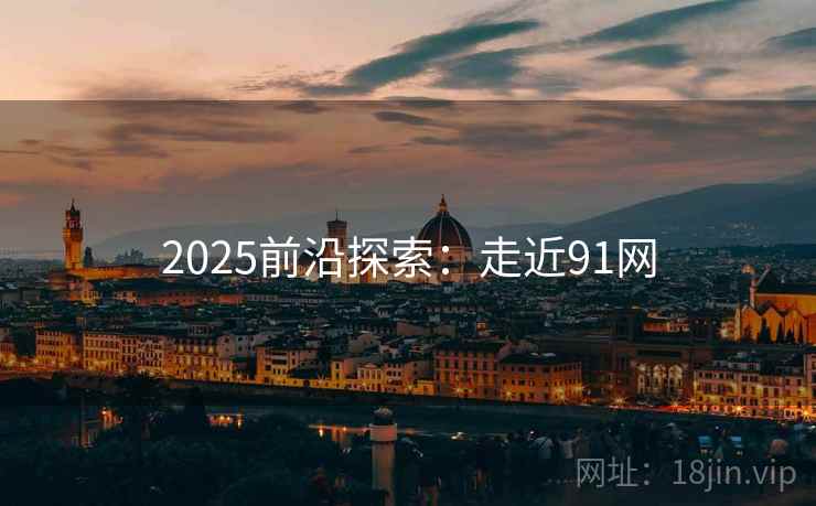2025前沿探索：走近91网