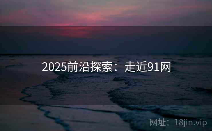 2025前沿探索：走近91网
