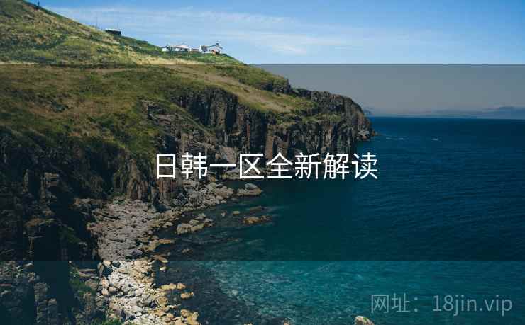日韩一区全新解读