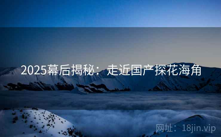 2025幕后揭秘：走近国产探花海角