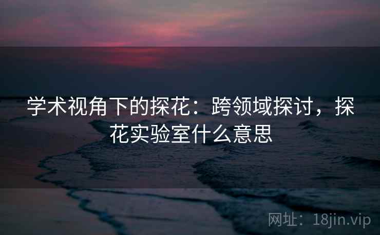 学术视角下的探花：跨领域探讨，探花实验室什么意思