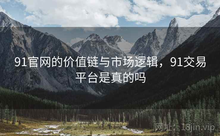 91官网的价值链与市场逻辑，91交易平台是真的吗