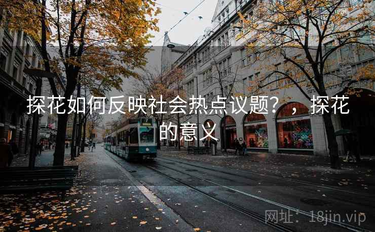 探花如何反映社会热点议题？，探花的意义