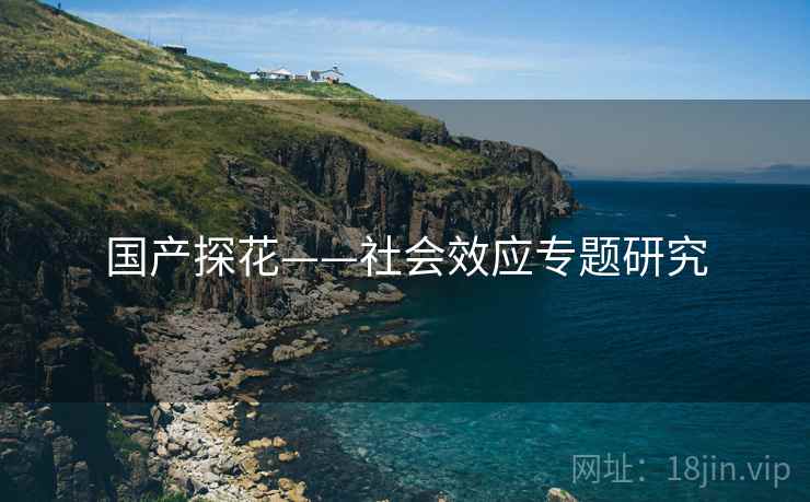 国产探花——社会效应专题研究