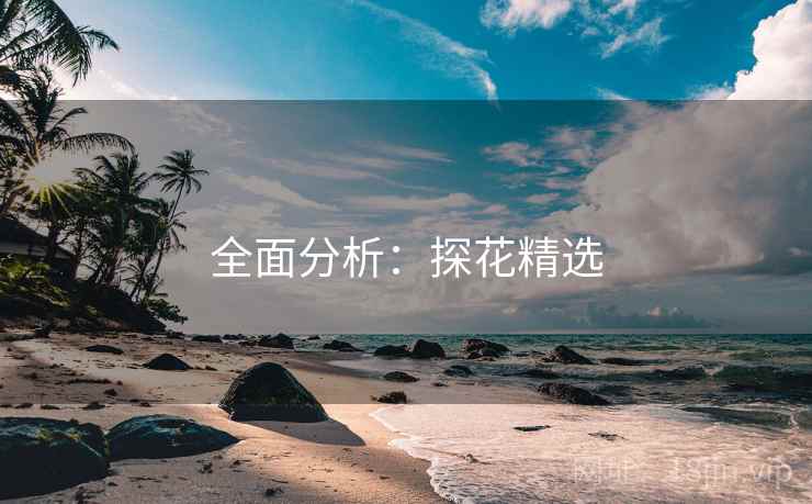 全面分析：探花精选