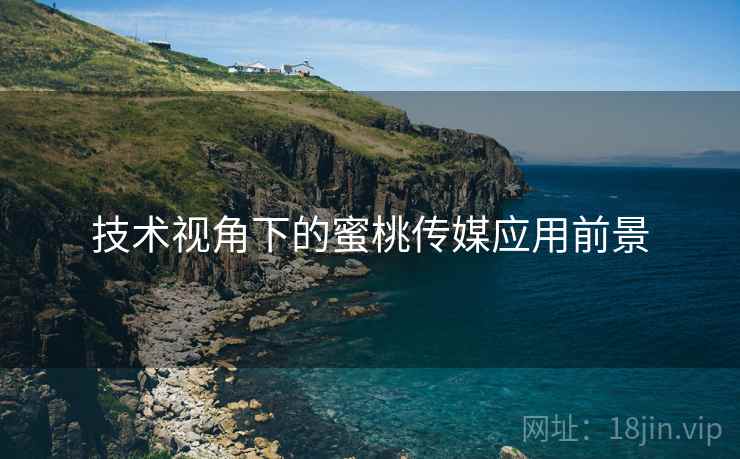 技术视角下的蜜桃传媒应用前景