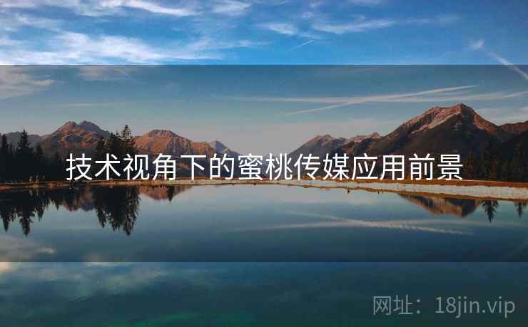 技术视角下的蜜桃传媒应用前景
