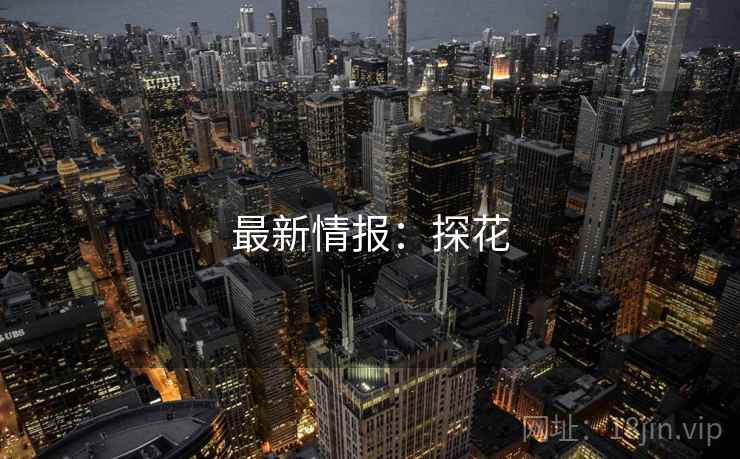 最新情报：探花