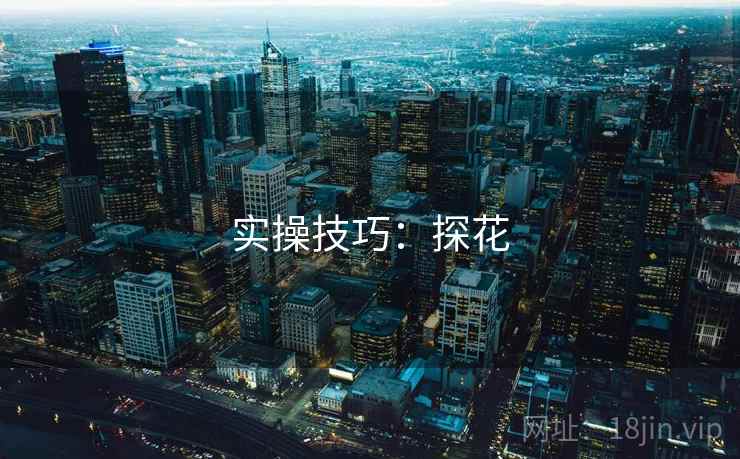 实操技巧：探花