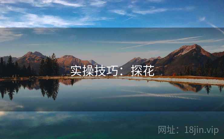 实操技巧：探花