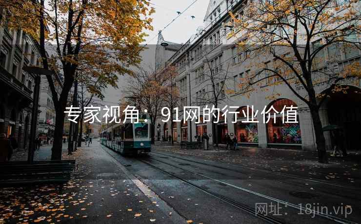 专家视角：91网的行业价值
