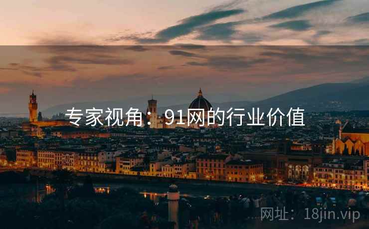 专家视角：91网的行业价值
