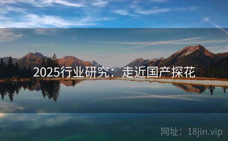 2025行业研究：走近国产探花