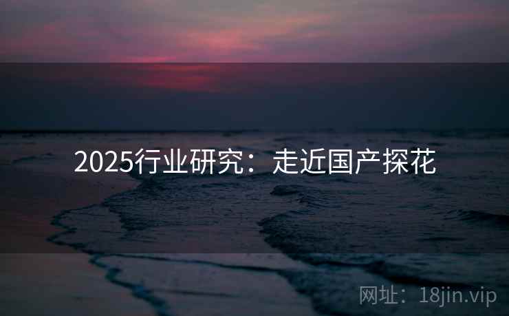 2025行业研究：走近国产探花