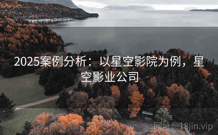 2025案例分析：以星空影院为例，星空影业公司