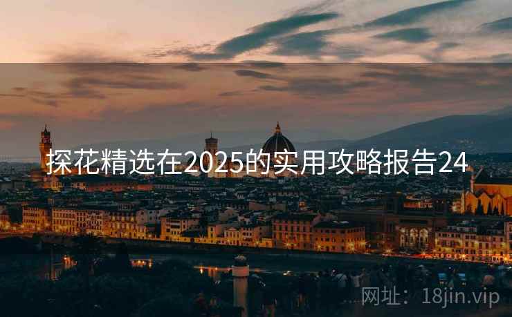 探花精选在2025的实用攻略报告24