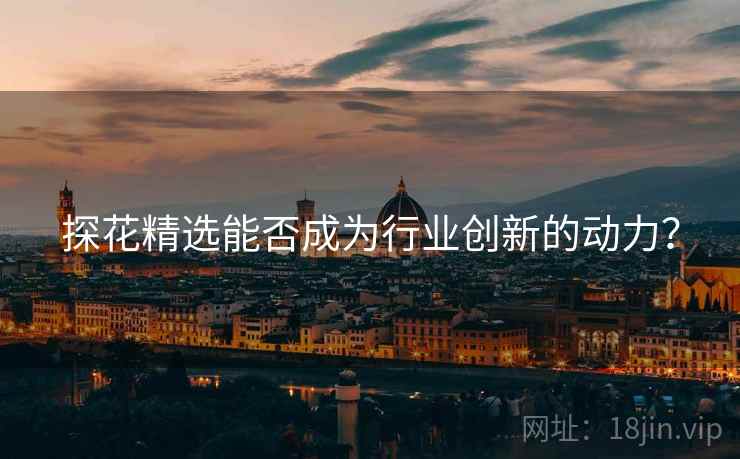 探花精选能否成为行业创新的动力？