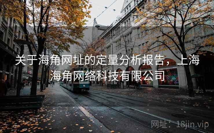 关于海角网址的定量分析报告，上海海角网络科技有限公司